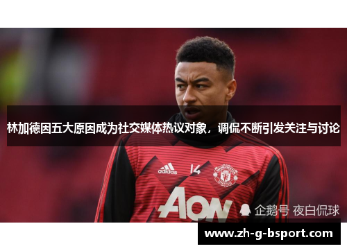 林加德因五大原因成为社交媒体热议对象，调侃不断引发关注与讨论