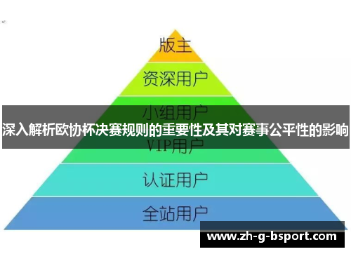 深入解析欧协杯决赛规则的重要性及其对赛事公平性的影响
