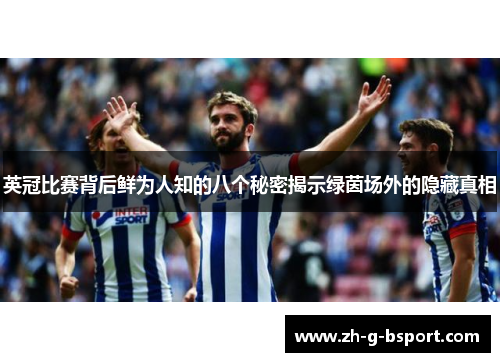 英冠比赛背后鲜为人知的八个秘密揭示绿茵场外的隐藏真相