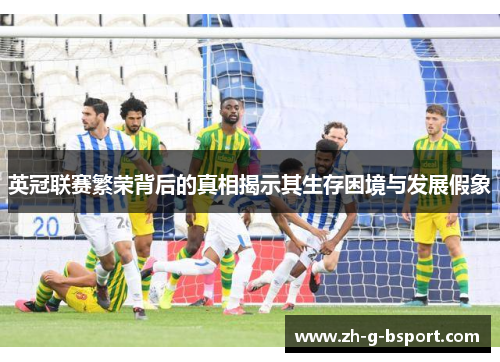 英冠联赛繁荣背后的真相揭示其生存困境与发展假象