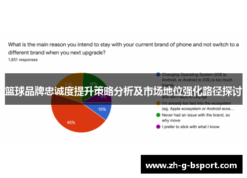 篮球品牌忠诚度提升策略分析及市场地位强化路径探讨